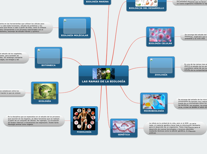 LAS RAMAS DE LA BIOLOGÍA - Mind Map